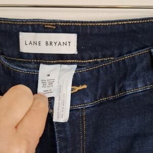 Lane Bryant Women's Blue Jeans